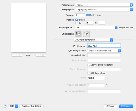 Illustration de l'écran Pilote